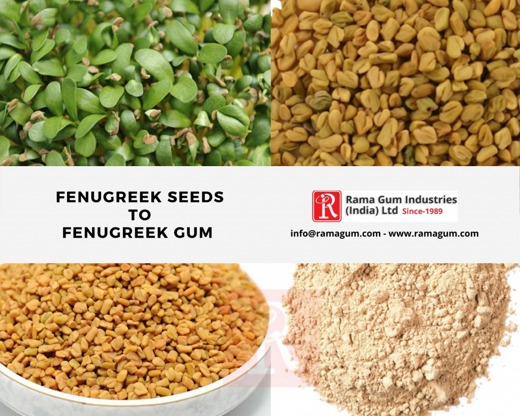 Benefits of Fenugreek Seeds or Methi seeds 