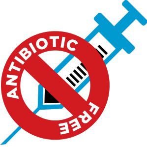 Antibiotic free Animal feed 